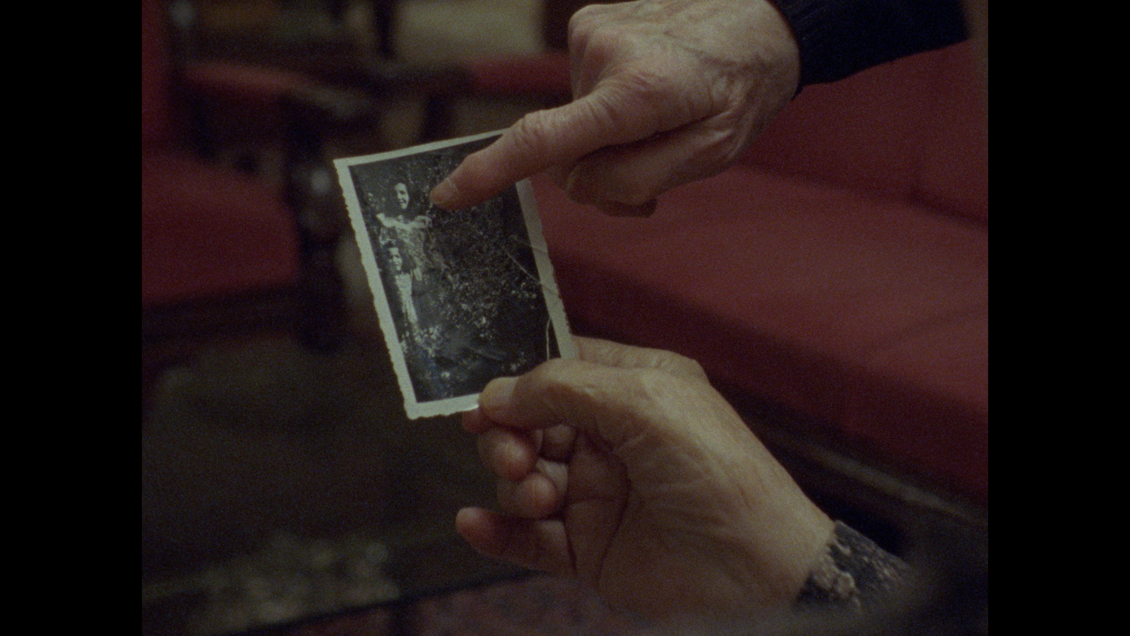 One hand holds a small black and white family photograph with another hand pointing at the photograph.