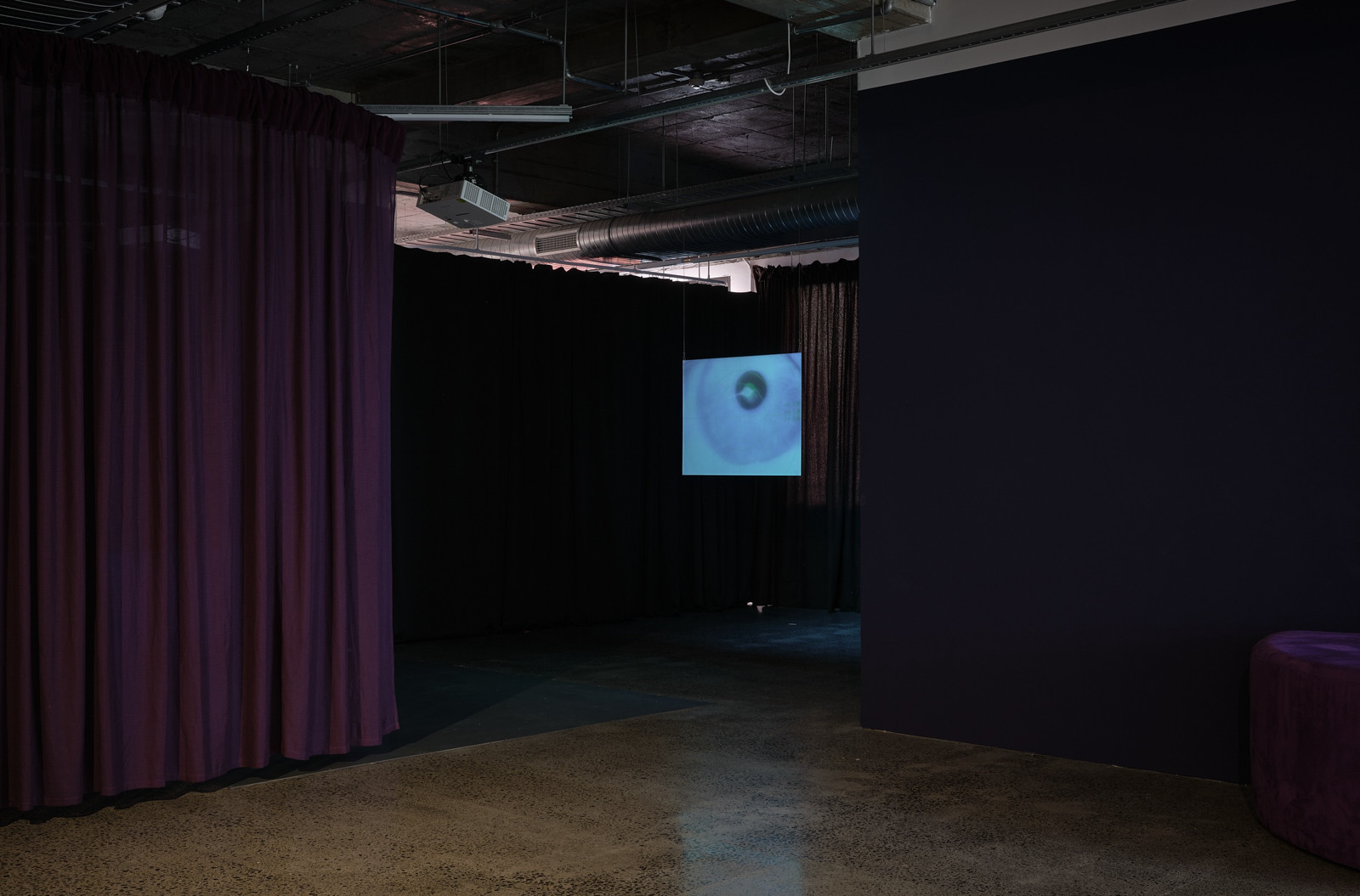 A curtain is hung from the ceiling of a gallery space, to it's left is a hanging screen with a close up image of an eye.